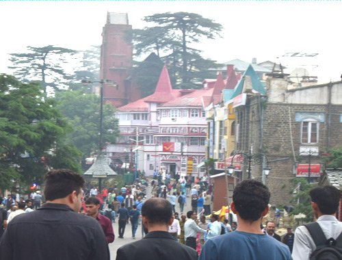 Shimla